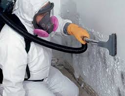 Best Water Damage & Mold Remediation in Lake Delta, NY